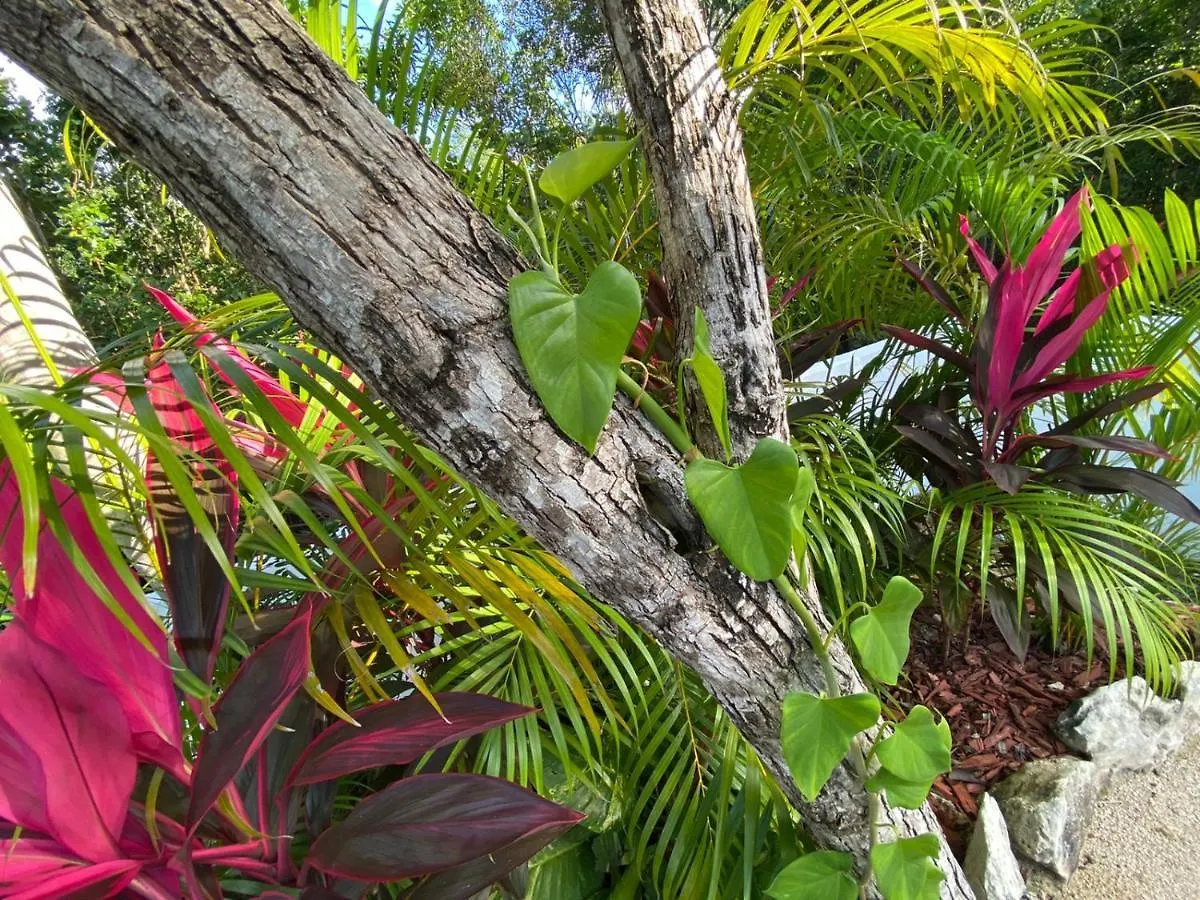 Hébergement de vacances Amazing Villa Inside Tulum Country Club Akumal